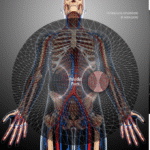 Screenshot-2024-11-24-at-1.00.57 PM