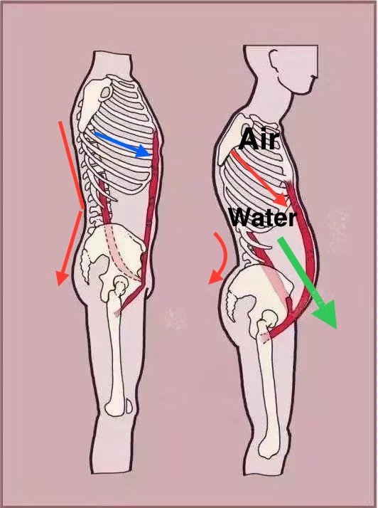  What is Bio Hydraulics?
