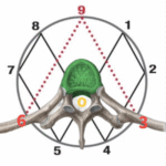 tinywow_Screenshot-2024-11-24-at-12.51.09 PM_69919046