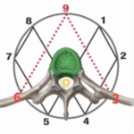 tinywow_Screenshot-2024-11-24-at-12.51.09 PM_69919046-300x300